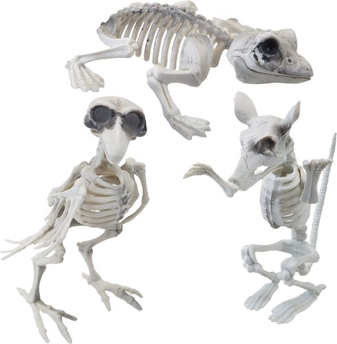 Spooky halloween animal - spooky,