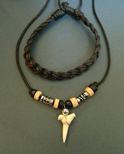 Real Shark Tooth 1.5cm