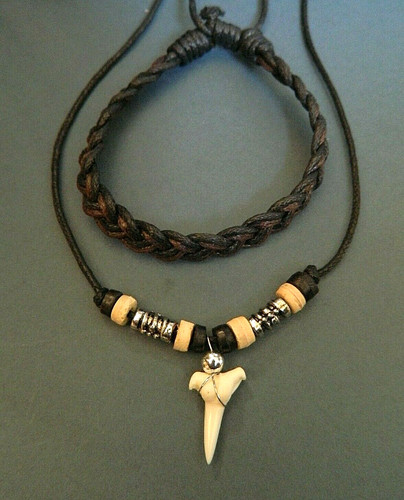 Real shark tooth - real,