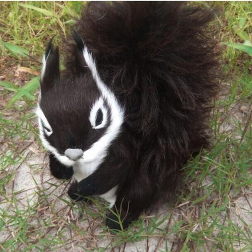 Artificial animal feathered - animal,