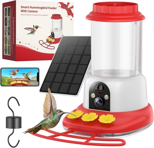 Hummingbird feeder with - hummingbird,