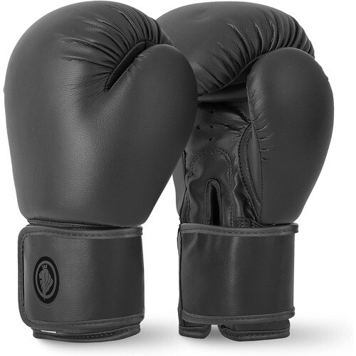 Lions boxing gloves sparring - lions,