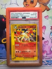 Rapidash Japanese Expedition