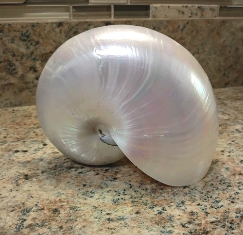 Vintage large pearlized - vintage,