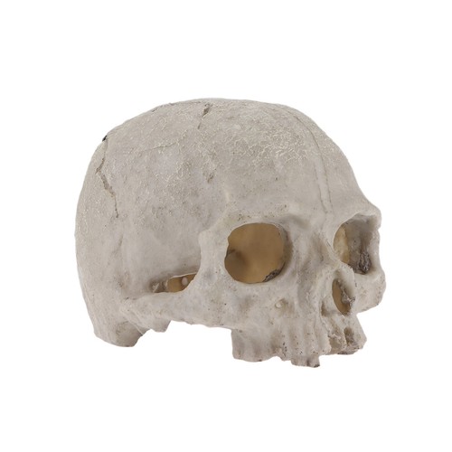Fish tank skull hideout cave - skull,