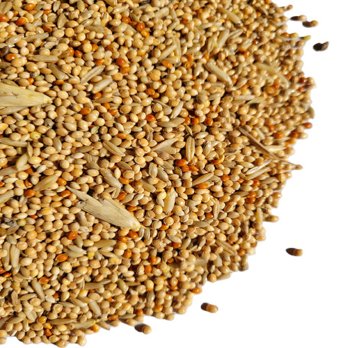 Budgie seed 350g - 350g,, 2.5kg