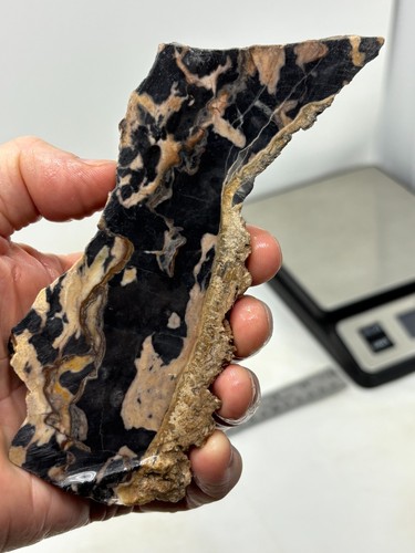 Roan leopard marble - roan, slab