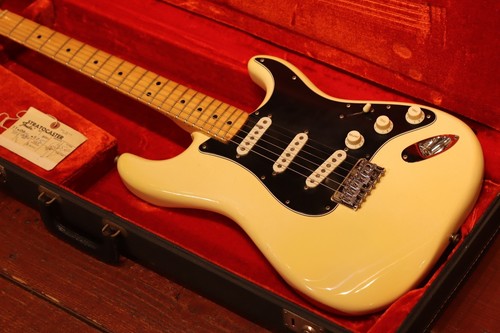 Fender stratocaster hardtail - fender,