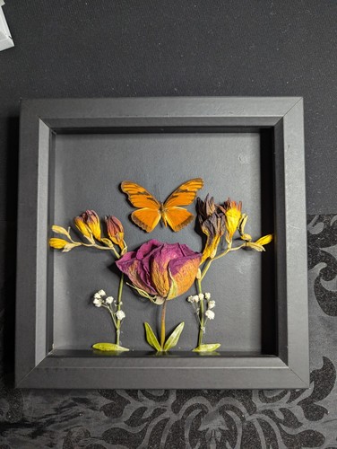 Real dryas iulia - , (julia