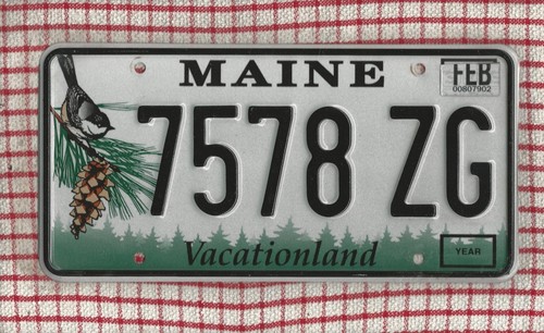 Maine american license - maine,