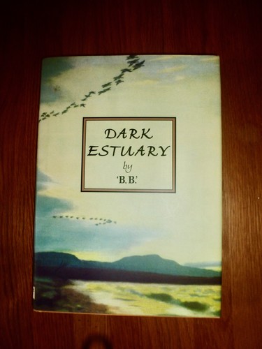Dark estuary denys - bb, [denys