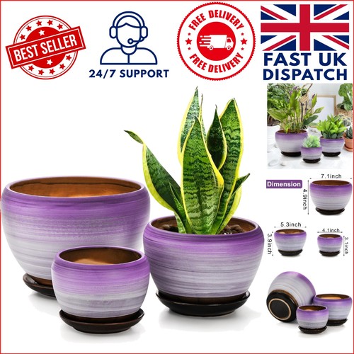 Modern pack ceramic flower - 3-pack,
