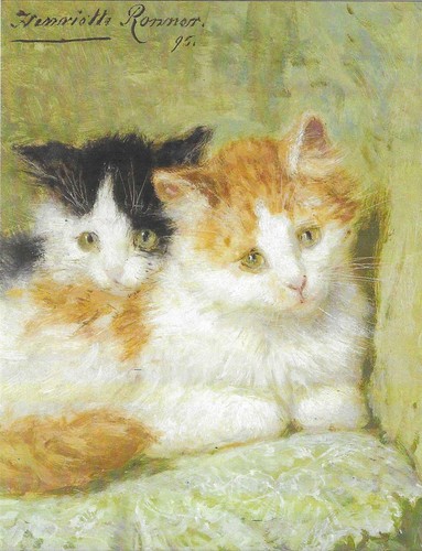 New cats kittens postcard - new,