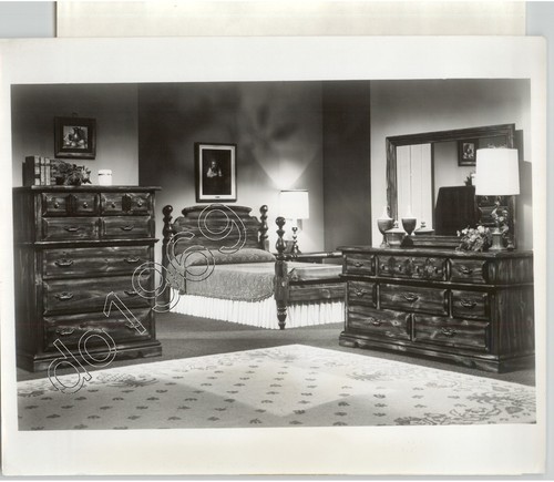 Interior decor pine colony - decor, 'pine