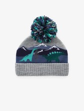 Boys Next Dinosaur Hat - Age