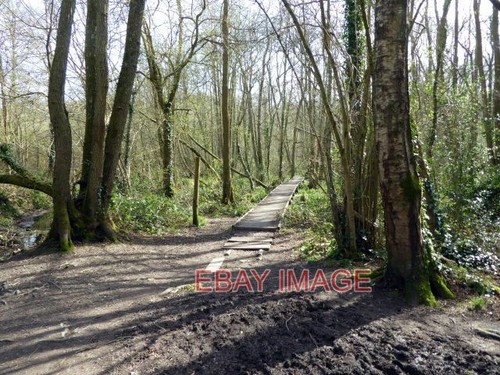 Photo board walk in - board,