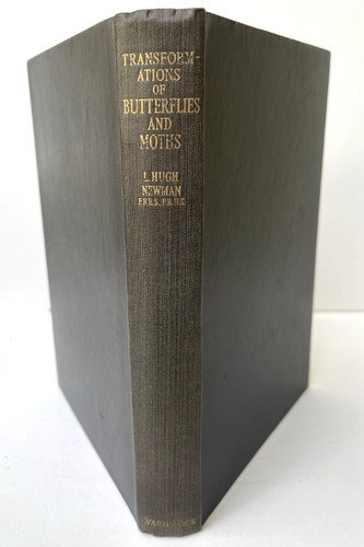 Transformations butterflies - of,