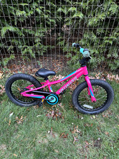 Specialized Riprock 16" wheels