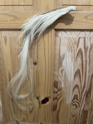 Blonde natural horse hair - horse, mane