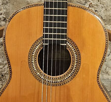 Flameco Guitar Telesforo Julve