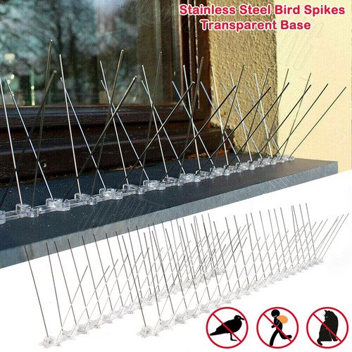 Steel bird spikes fences anti - steel,