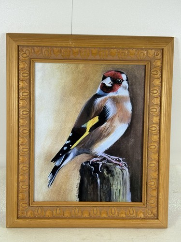 Lovely colourful goldfinch - lovely,