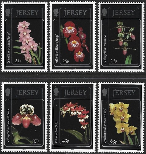 1999 jersey 892 897 - 1999,