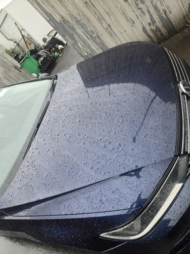 Passat bonnet hood - bonnet,