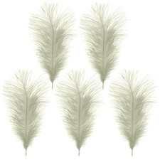 Large Ostrich Feathers