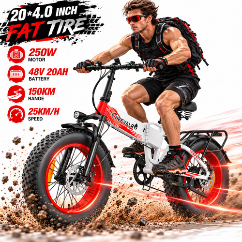 48v 20ah electric bike - electric,