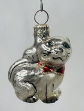 Silver Himalayan Cat With Red