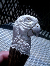 Antler Handle parrot head