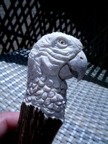 Antler handle parrot head - antler,