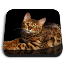1x Square Fridge MDF Magnet