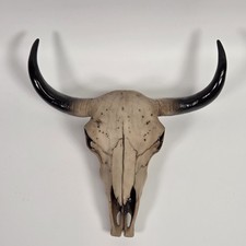 Vintage Style Resin Bull Skull