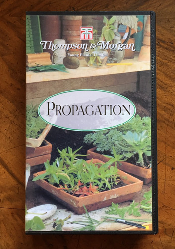 Thompson morgan - morgan,