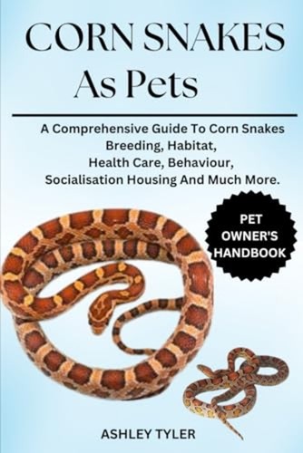 Corn snakes pets a - corn,