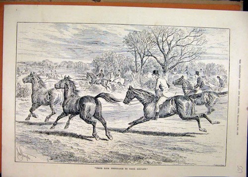 Old antique print - print, fox