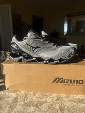 Mizuno wave prophecy - mizuno, light