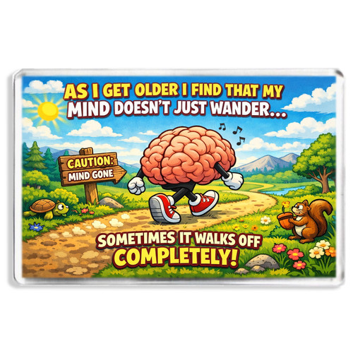 Senior moments novelty - senior,