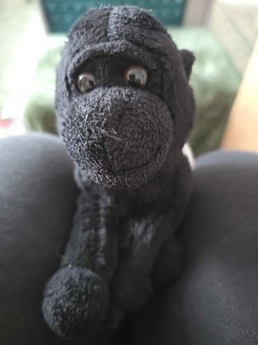 Ravensden gorilla suma - ravensden,