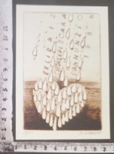 Wunderkammer exlibris 780 - an,