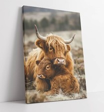 CUTE HIGHLAND COW MOTHER AND