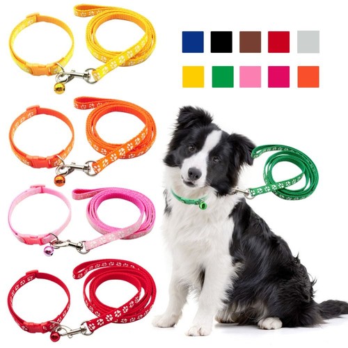 Dog paw print puppy collar - paw,