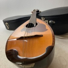 Suzuki Mandolin 8 strings with