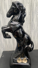 Frankhoma Black Rearing