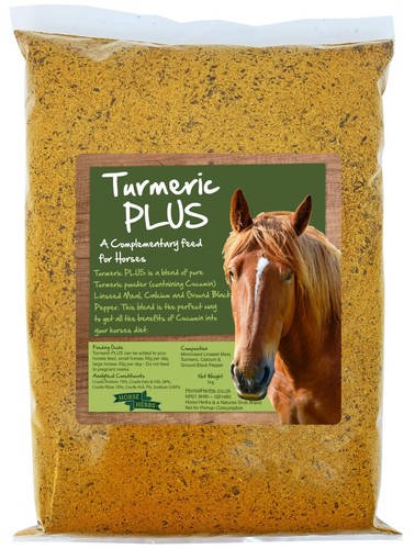 Horse herbs turmeric plus - horse,