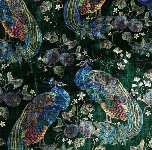 Art the loom peacock - of,