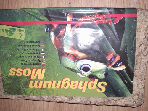 Lucky reptile 100g - 100g, dry