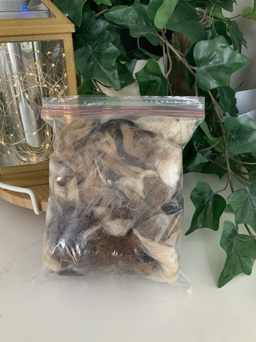 Alpaca bird nesting - alpaca, 🦙